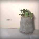 ギザギザかわいぃモルタル鉢。多肉寄せ植え