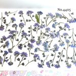 ♡new♡作家様必見♡ 人気の勿忘草がいっぱい♡ 押し花セット