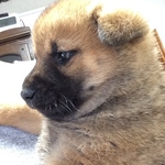 yu-yoyumi様オーダー品❣️モロッカン柄ターコイズブルー  ラミネート生地とレザー　大きなマチありポーチ　25cmファスナー