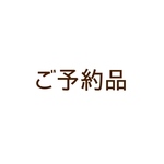 🎍ご予約品ꕤお正月ぴよこ隊の置物 (3匹セット)