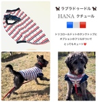 大型犬  4Lサイズ 現品完成品