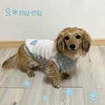 犬服【フリース×ドット柄キルトタンク⛄️グレー】