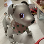  [aiboちゃんの辰年🐲たっちゃん柄スタイ　ピンク系　aibo's bib たっちゃん柄と和柄(Red)の両面仕様6