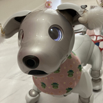 [aiboちゃんの辰年🐲たっちゃん柄スタイ　ピンク系　aibo's bib たっちゃん柄と🌸柄の両面仕様2