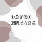 ⚠️お急ぎ便ご希望の専用ページとなっておりますのでご注意ください
