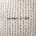 har※※様オーダー専用　上履き入れ２枚、ランチョンマット3枚、お弁当バンド1つ