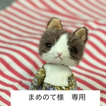 まめのて様専用　購入ページ