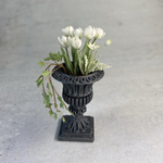 チューリップとアイビーの寄植え大①