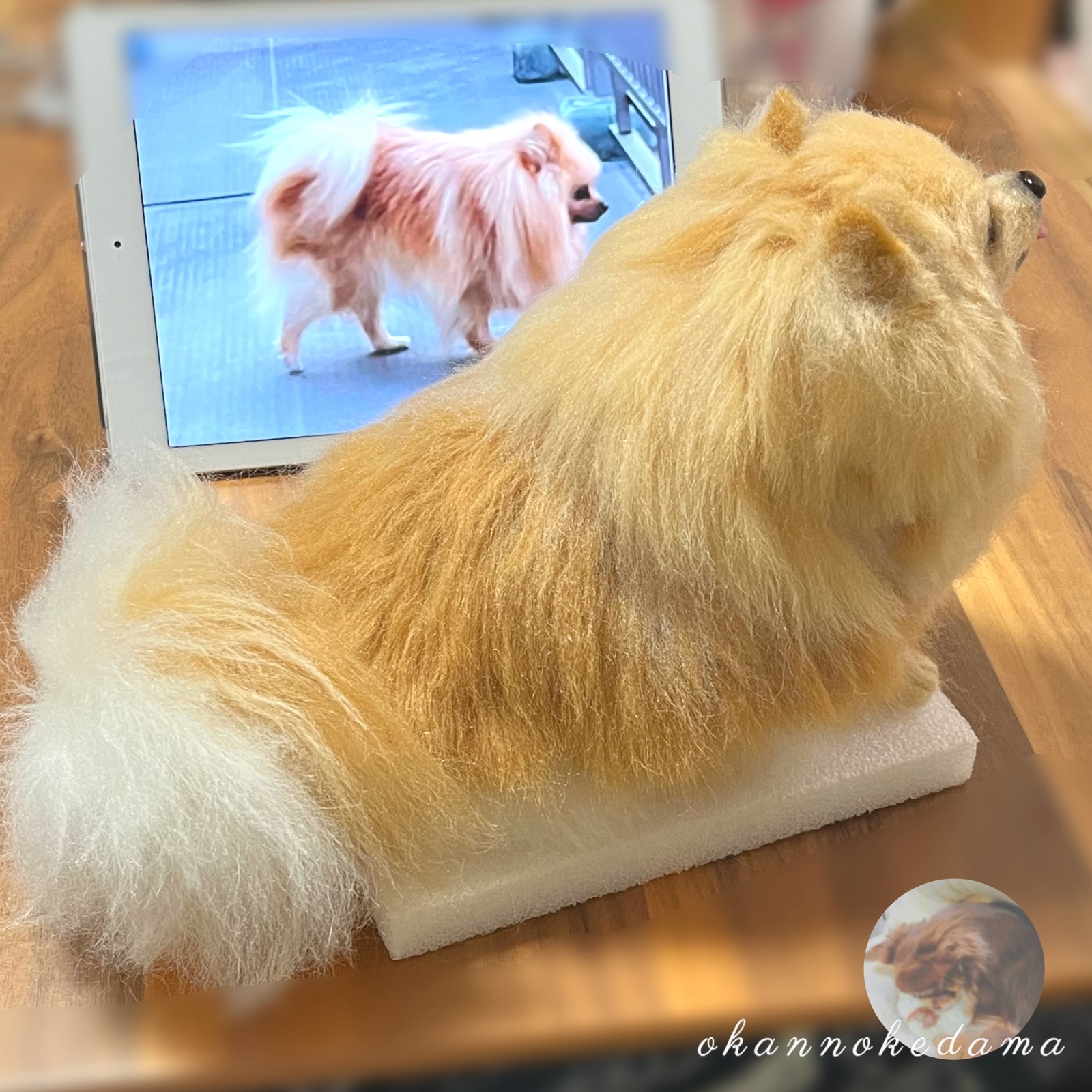 3D犬 ポメラニアン オーダーメイド 羊毛フェルト 犬 - OKAN