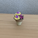 葉牡丹　ちびっこ鉢　