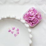 ☆押し花☆　スターチス　濃いめピンク　グラデーション　レジン　花材　素材　封入　無着色