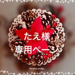 たえ様 専用ページ