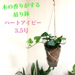 観葉植物　ハートアイビー　ハンギングプランター　受け皿付き　3.5号