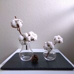 ●数量限定●　綿の木　コットンツリー　”コットンフラワー（ドライフラワー）・ミニフラワーベースセット”　松ぼっくり付き　インテリア　お飾り　ディスプレイ　ウエルカムスペース　ギフト　玄関飾り　花瓶