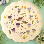 押し花素材324　小花のミックスセット　