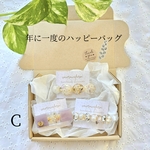 ハッピーバッグC ♡ 年に一度のお得な レジン ヘアクリップ 福袋