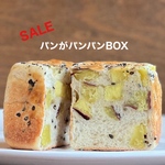  【送料無料】２０個キューブパンがパンパンＢＯＸ