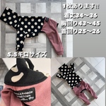 イタグレの服　イタグレ服