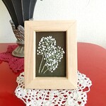 ミニ刺繍フレーム　かすみ草