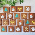SPICEクッキー×アイシング(XmasVer.)