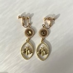 蛾の標本の耳飾り