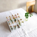 【受注生産】【送料無料】植物標本　Botaical Collection■Rose Select Box