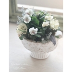 小輪パンジーペルクレアの小さな寄せ植え