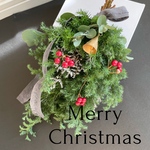 発送可能です♡アンティークアイアンベル付き森のクリスマススワッグ　フレッシュスワッグ　撮影小物　ドライフラワークリスマススワッグ　サツマスギとサンキライ　シンプルクリスマス　ヒムロスギ