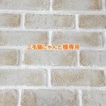 専用　ネコちゃん柄　通帳ポーチ　ラミネート シャカシャカポーチ　通帳ケース　アリス柄　コスメポーチ　2点1セット