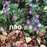 nao.さまオーダーメイド　