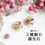2種類 選べる【ピアス】家族や夫婦　誕生石の結晶