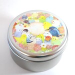 かわいい♪小鳥たちの小物入れ/缶ケースMサイズ『色とりどりーす』 セキセイインコ    