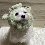 犬の　きぐるみみたいなスヌード　たつ🐲