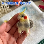 オカメインコちゃん