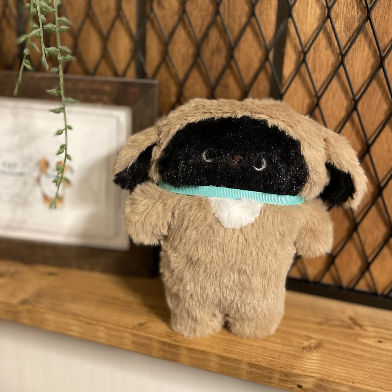 maru ★ハンドメイド★ いっしょにおでかけ ペキニーズ ぬいぐるみ 専用 ☆ハンドメイド☆ ペキニーズ ぬいぐるみ 白 - メルカリ
