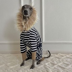 オーダー犬服 接結ボーダー ファーフード ロンパース 