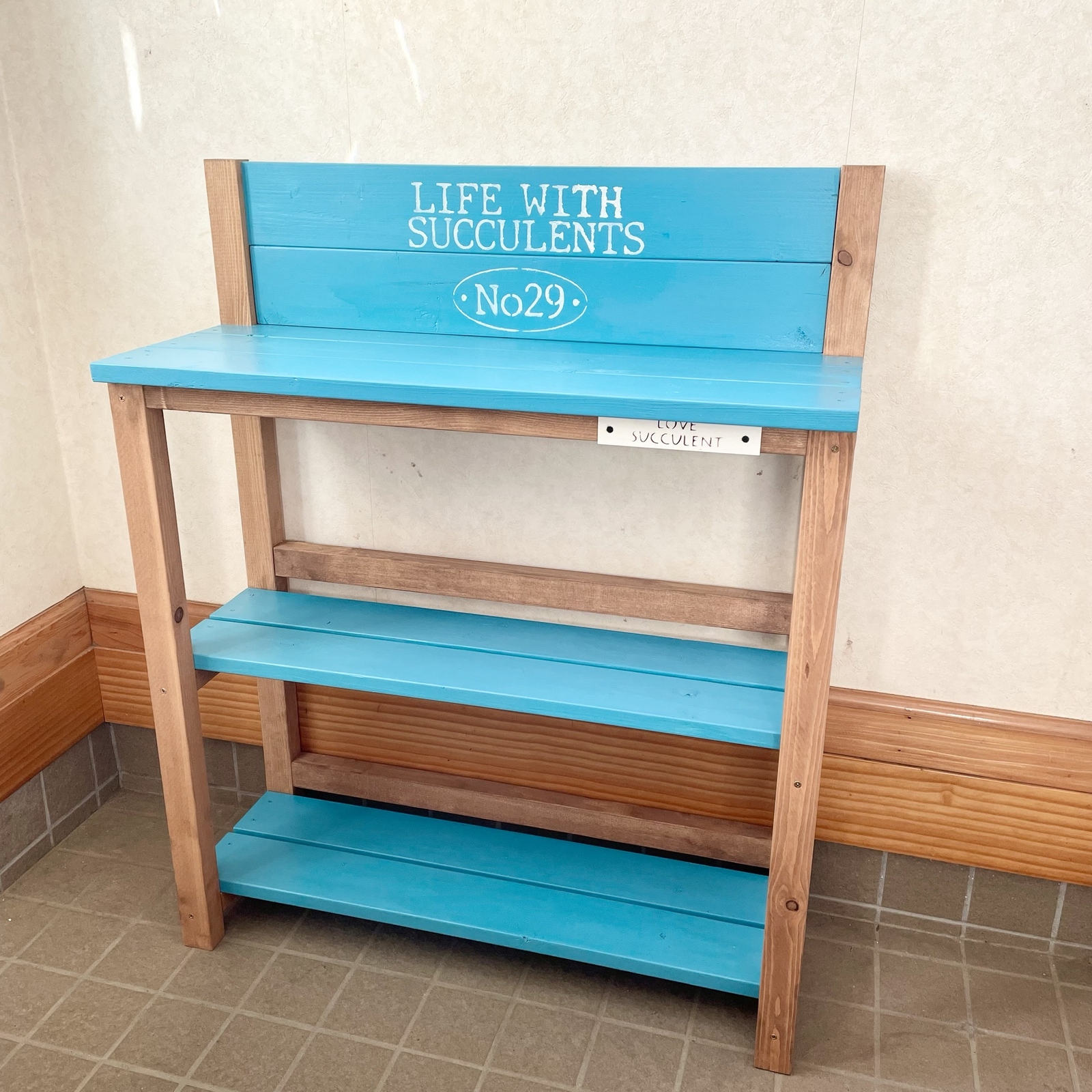 多肉植物棚　TB-W66A 多肉植物棚 GAI-2T80E（棚＋トレー）