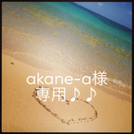 akane-aさま 専用⑅◡̈*。