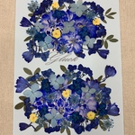 NO.⑲お買得品❣️フラワーガーデン／押し花