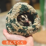 もんちぐら（M）