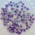パープル系 かすみ草ドライフラワー100粒
