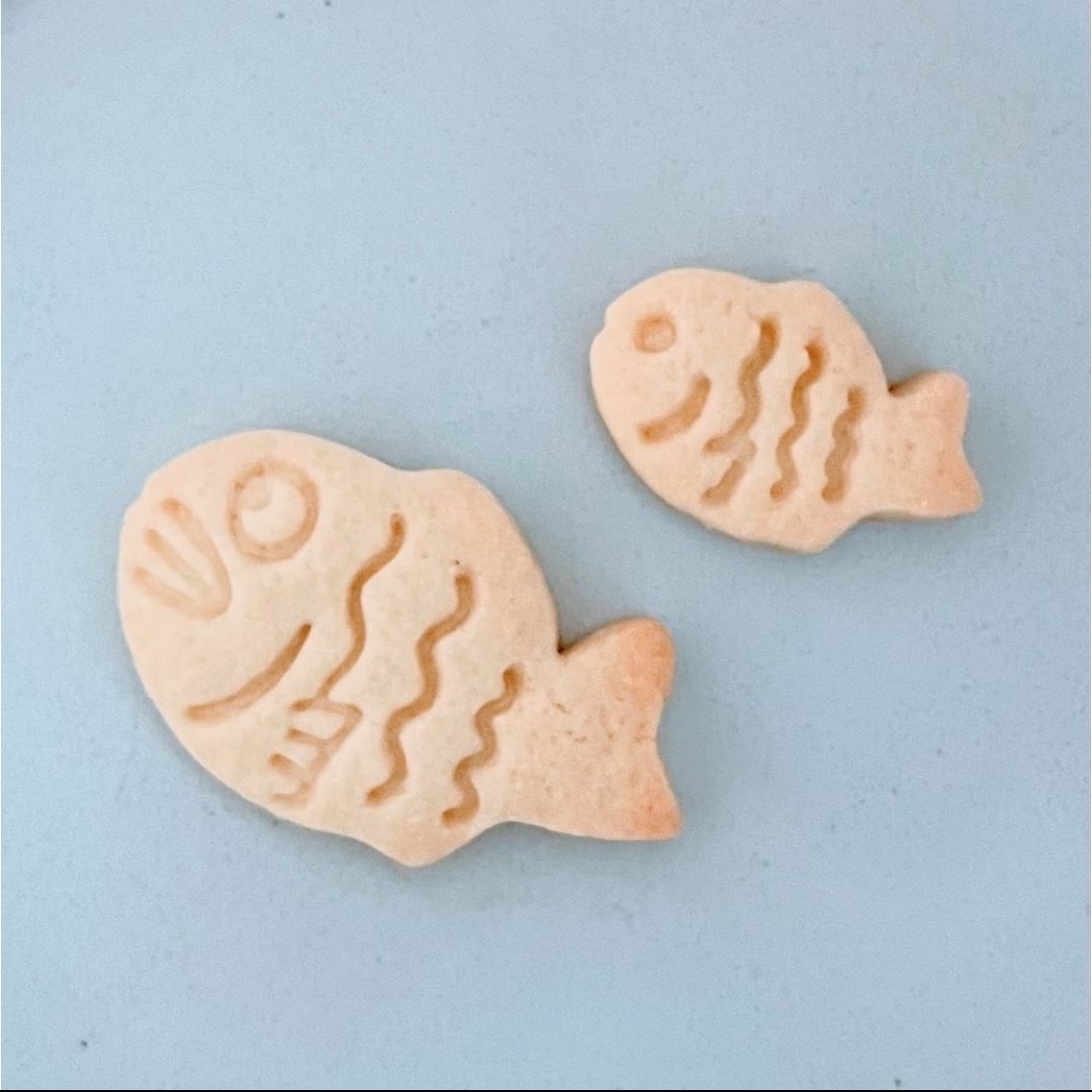クッキー型 たいやき 鯛焼き たい焼き 魚 さかな お祝い お食い初め お