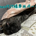 damo0727様専用　＊ハンドメイド＊フレンチブルドッグ　トレーナー　フレブル柄　4点