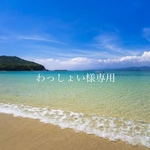 わっしょい様専用ページ
