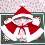 森のチッチベリー様ご注文品・クリスマス🎅　フード（小型犬、中型犬用マント）
