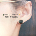 🎄クリスマスセール🎉小さなねこピアス・ダークグレー(ノンホールピアス)