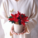 『M様専用ページ』【粘土のお花】　ポインセチア　クリスマスアレンジ　ニッセマスコット（どちらか1つ付き♪）　P728