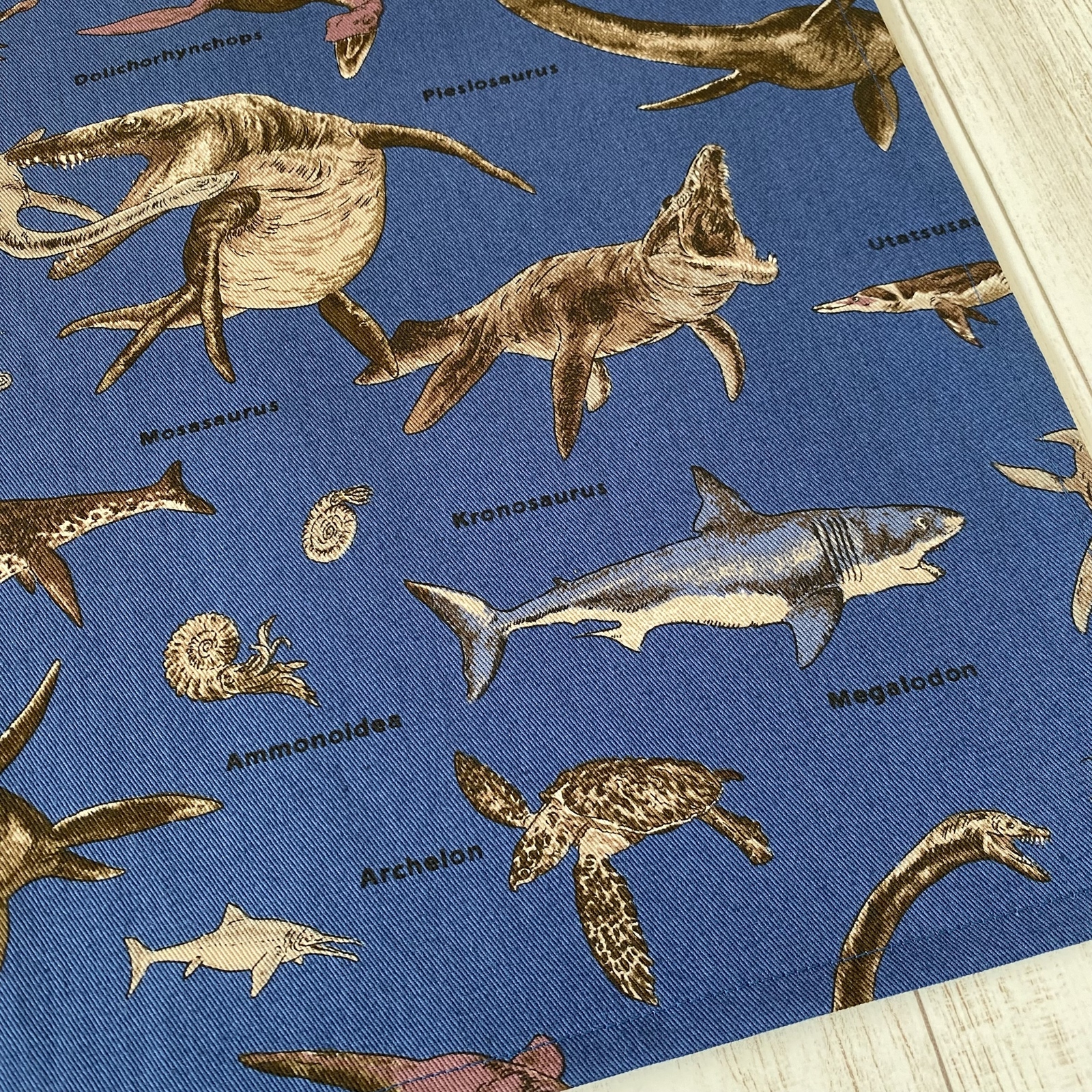 オーダー 男の子 生き物 給食セット ランチョンマット 40×50 給食袋