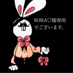 SORA♡様専用