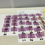 mさま専用ページ